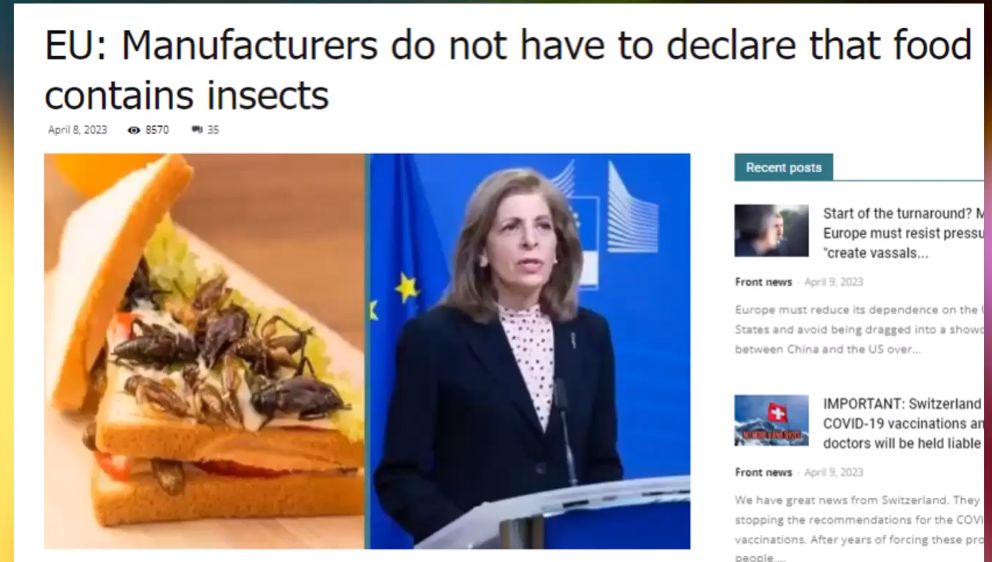 EU manufacturers don't have to declare that food contains insects